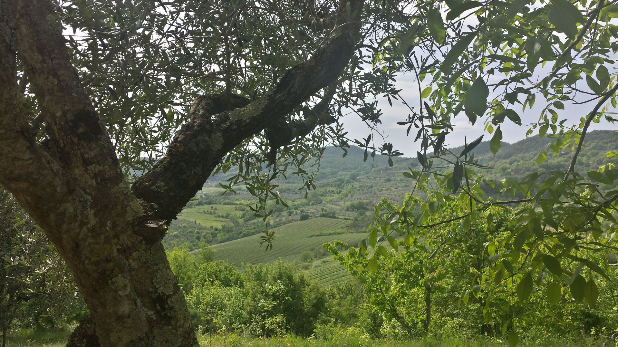 Dalla città... alla quiete della natura